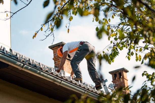 Professional Roofing Contractor in Eureka, MT
