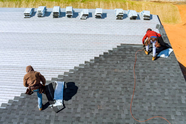 Best Roof Gutter Cleaning  in Eureka, MT
