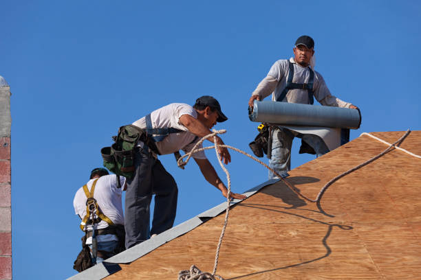 Best Roof Installation Near Me  in Eureka, MT