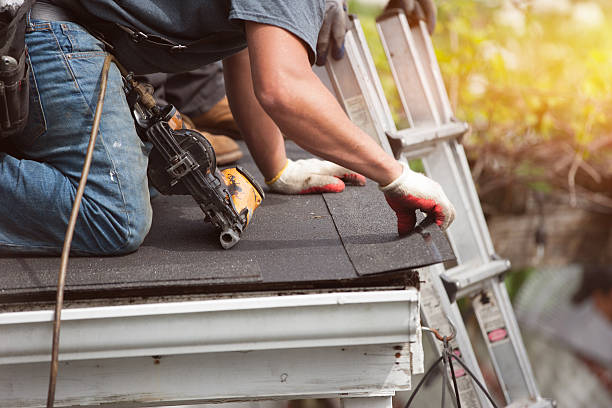Best Shingle Roofing Installation  in Eureka, MT