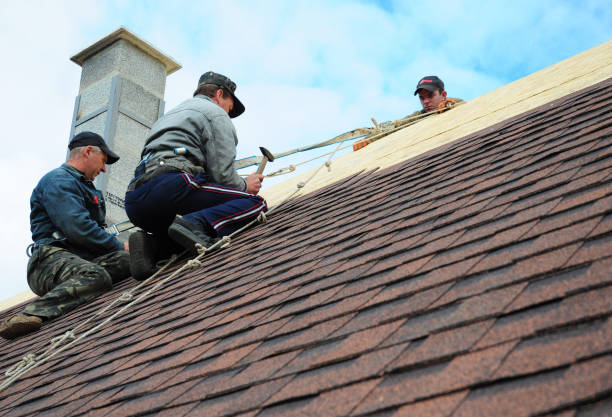 Best Gutter Installation and Roofing  in Eureka, MT